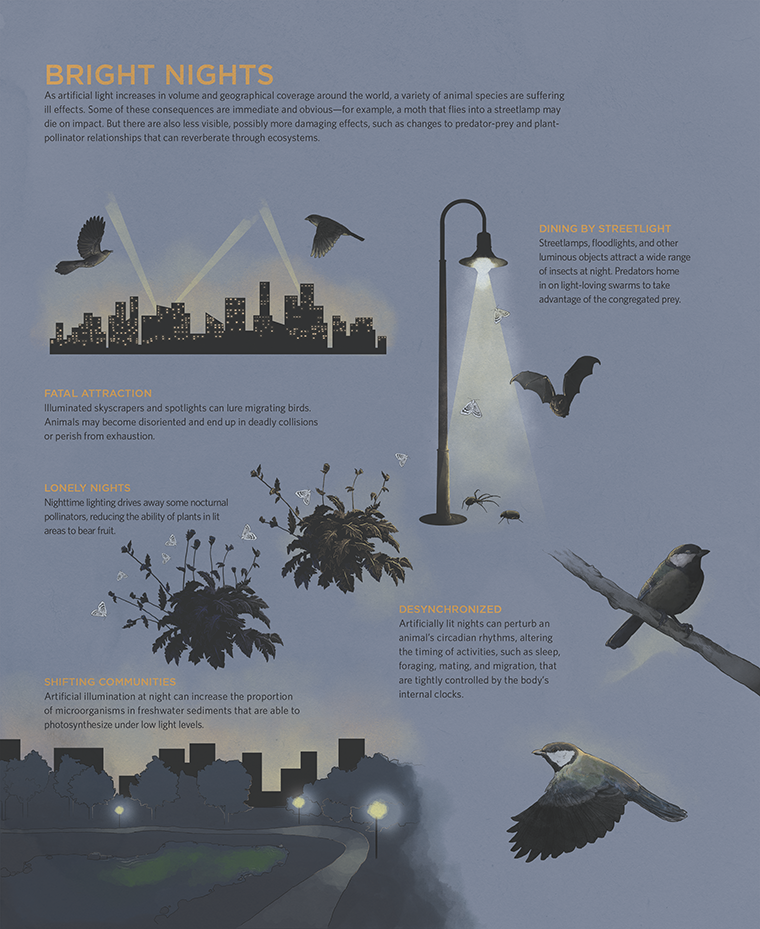 light_pollution_infographic resize