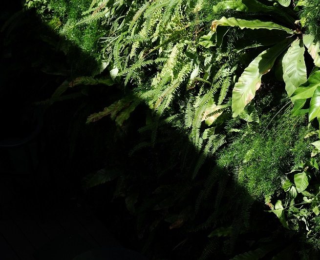 lighting design_kobi lighting studio_metiseko