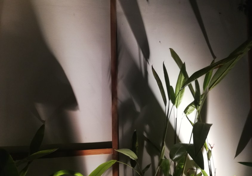 A close-up of how light interacts with surfaces to create depth during the Dojo talks event.