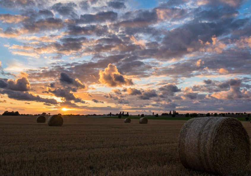 A stunning countryside sunset scene capturing warm hues and open landscapes.